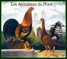  Les Aviculteurs du Nord par H.Liebaert